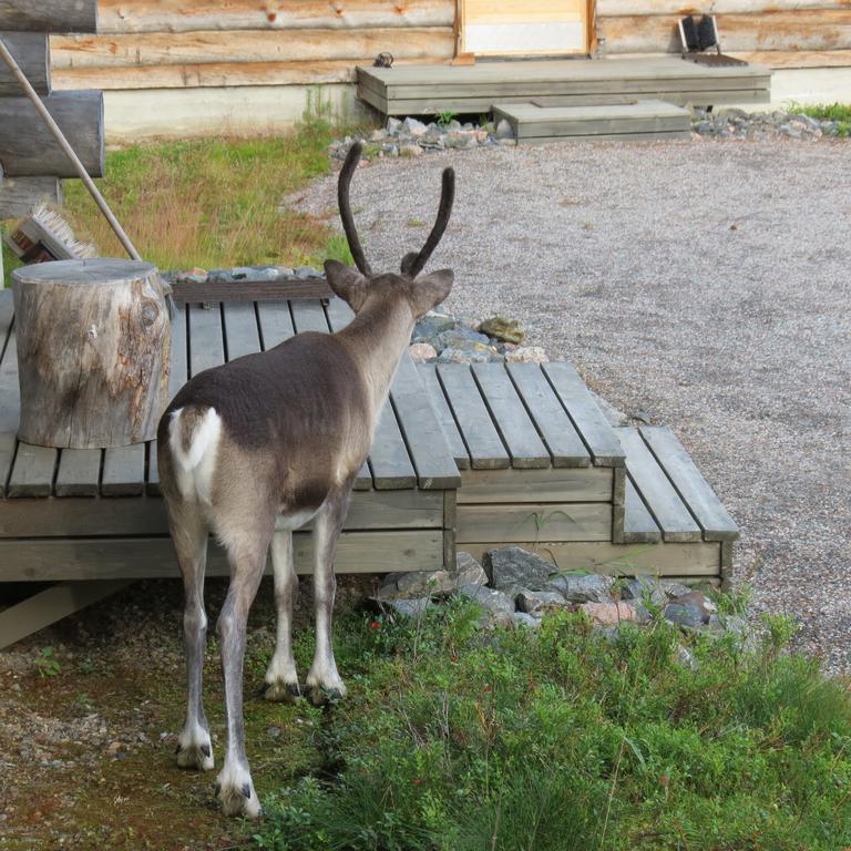 Dasher Apartment Äkäslompolo エクステリア 写真